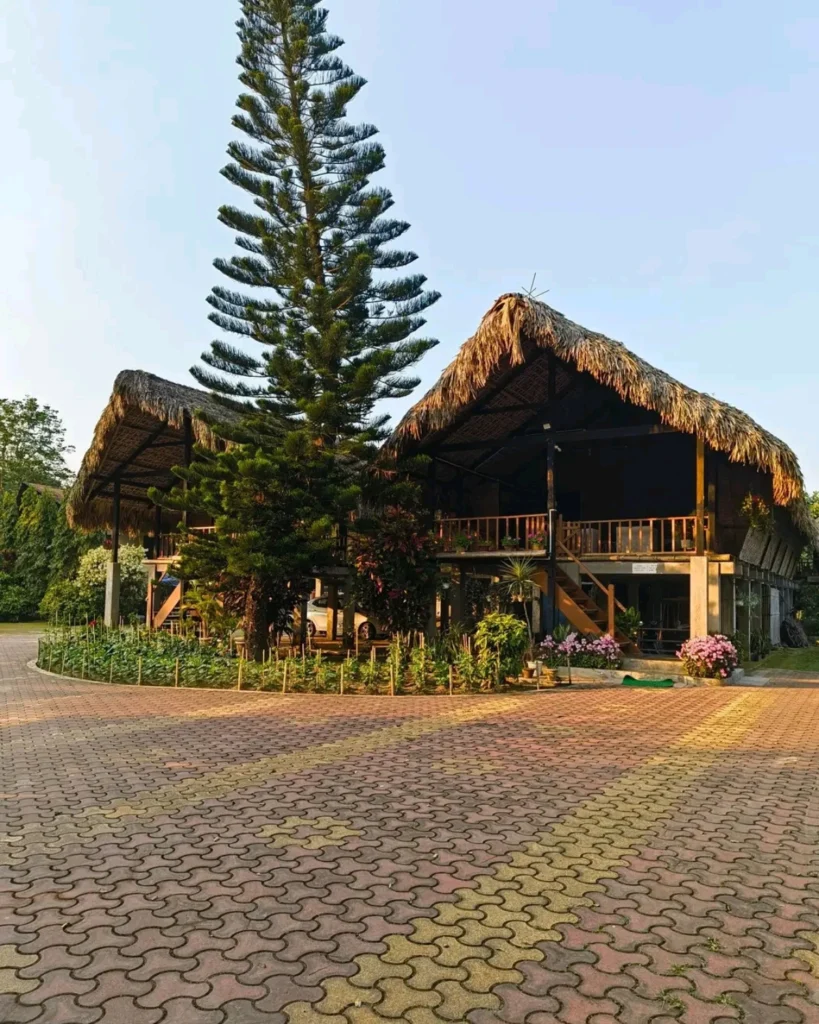 A traditional homestay can become more than accommodation when architecture, food, landscape and local stories become part of the experience.
