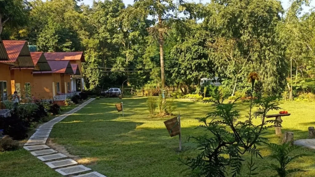 Eco-friendly cottages at Tiger Camp Kaziranga surrounded by greenery and landscaped gardens